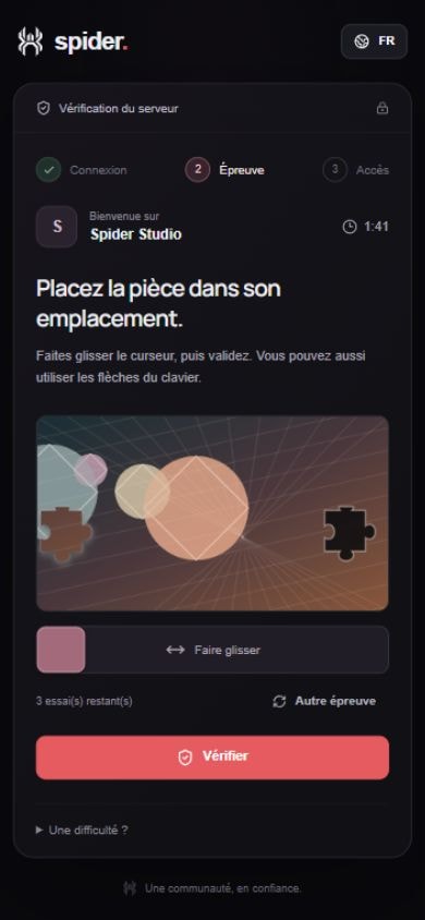 Verification puzzle in the Discord Activity